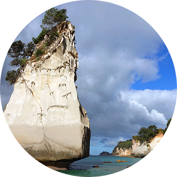 Hoho rots op het strand van Cathedral Cove in Nieuw Zeeland van Aagje de Jong