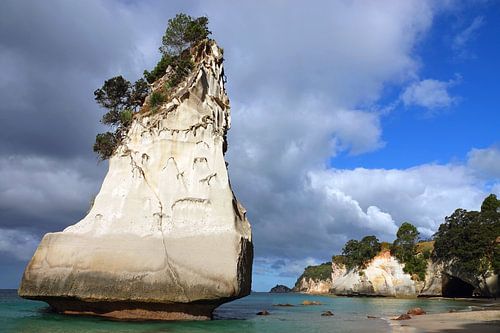 Hoho rots op het strand van Cathedral Cove in Nieuw Zeeland