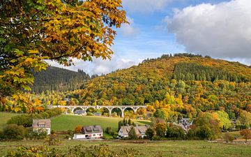 Sauerland, Hessen, Duitsland van Alexander Ludwig