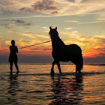 Zee, zon en strand van Dirk van Egmond