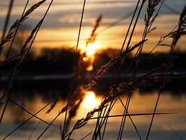 Unvergessliche Momente Teil 2 von Mathias Behr