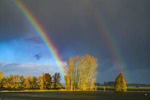 Rainbow during an autumn rain shower over the river IJssel
