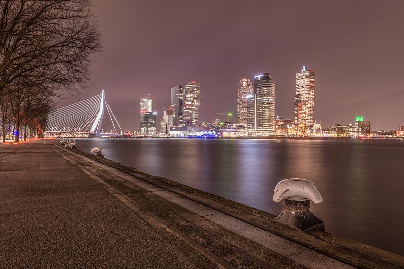 Skyline van Rotterdam gezien vanuit de havens van Elles Rijsdijk