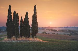 Landschaft bei Sonnenuntergang in der Maremma. Bibbona