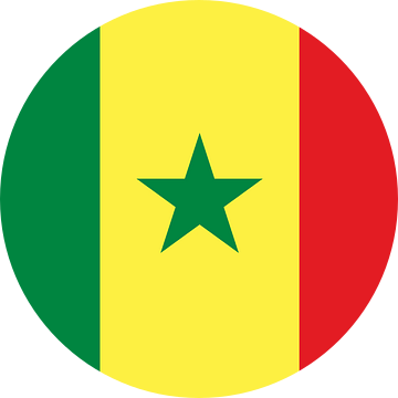 Vlag van Senegal van de-nue-pic