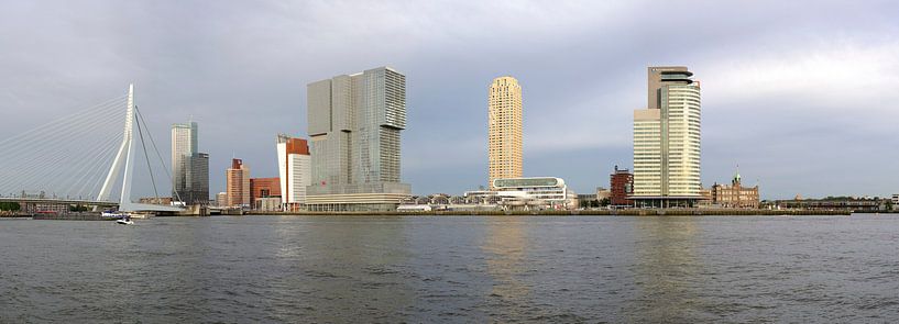 Kop van Zuid in Rotterdam van Wim Stolwerk