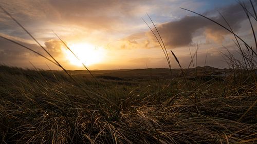 Les dunes sur Terschelling