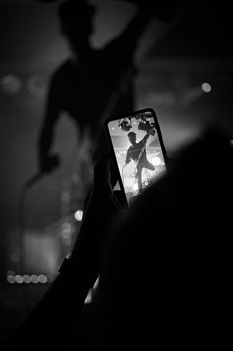 Junge Band von Falke Knockaert