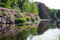 big gardens in forest near Baarn in Holland von ChrisWillemsen Miniaturansicht