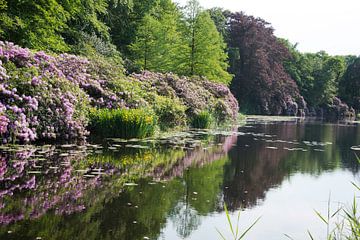 big gardens in forest near Baarn in Holland von ChrisWillemsen