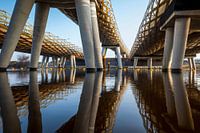De Royal Welch Bridge spoorbruggen over de rivier de Dieze in s'-Hertogenbosch, Nederland