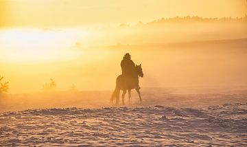 Een ruiter met paard, mist, sneeuw en de zon. Zo mooi, zo bijzonder Foto 1 van Natuurpracht   Kees Doornenbal