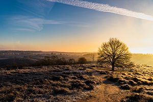 Lever du soleil sur Koos de Vries