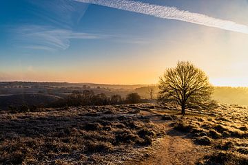 Zonsopkomst van Koos de Vries