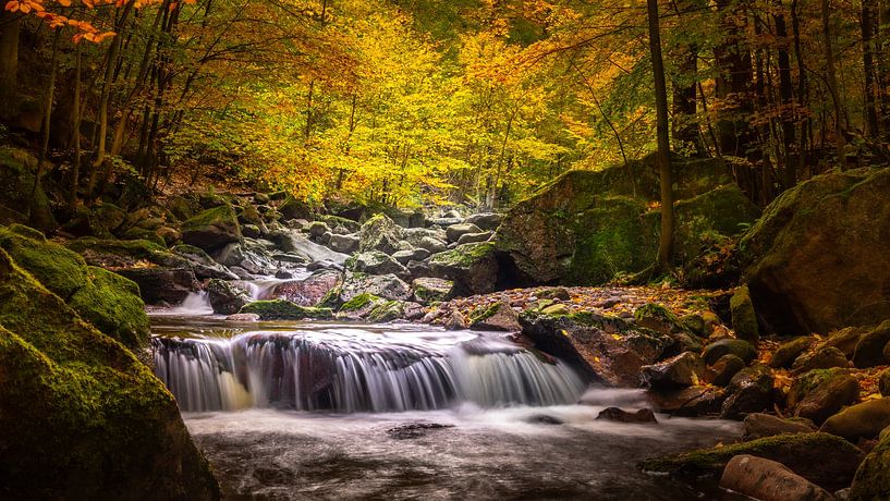 The autumn Ilse valley by Steffen Henze