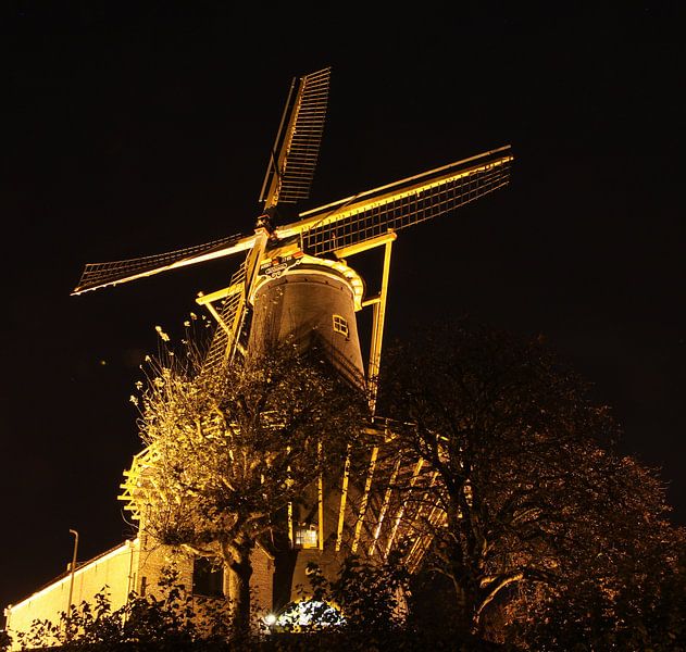 Molen de Windhond bij nacht. par Joost Coffeng