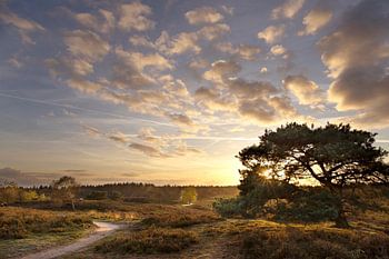 Aan het einde van de dag...