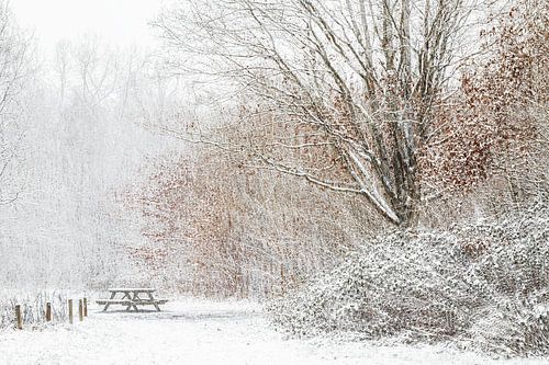 Winter van Ingrid Van Damme fotografie