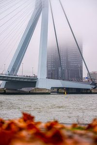 Erasmusbrücke und Maastoren im Nebel