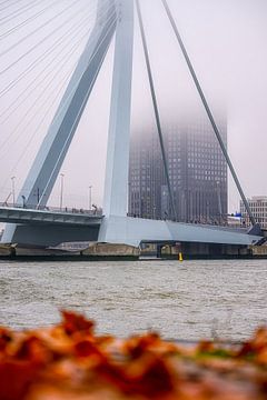 Erasmus Bridge and Maastoren in the fog by Leon Okkenburg