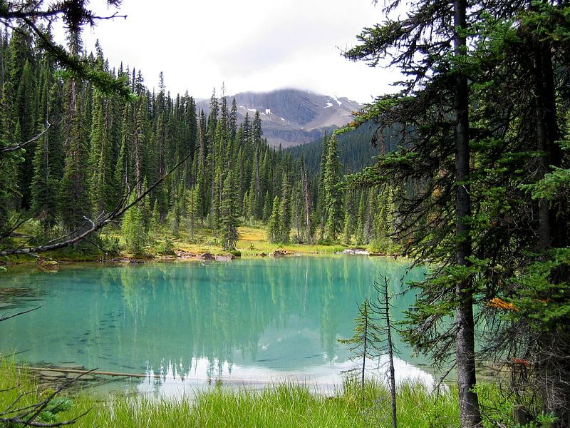 Yoho National Park van Gert-Jan Siesling