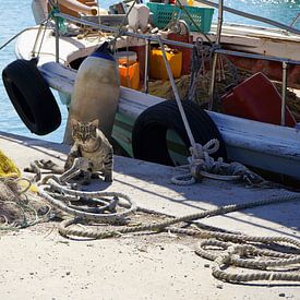 Vissersboot kat in Lefkada Griekenland van Mad Dog Fotografie