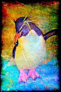 Felsenpinguin