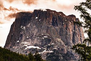 Bridger-Teton