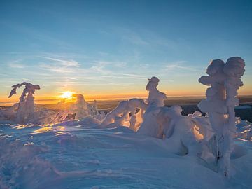 Romantisch winterlandschap op de Fichtelberg in Saksen van Animaflora PicsStock