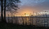 Zonsondergang bij de Loenderveense plas, Oud Loosdrecht, Wijdemeren, Noord Holland, Nederland van Martin Stevens thumbnail