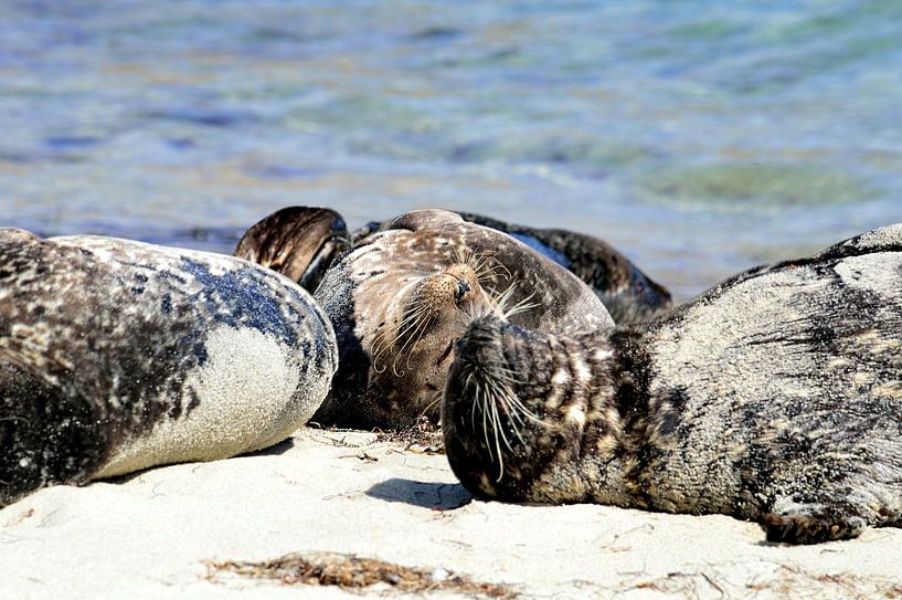 That sun feels awesome by Frank's Awesome Travels