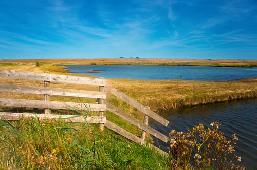 Texel – peace, space and the endless landscape