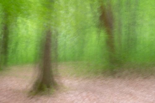 Abstrakter Waldweg 6 von Danny Budts