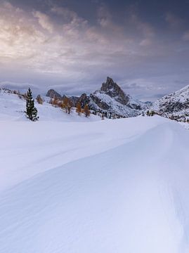 Besneeuwd landschap in de Dolomieten van Anselm Ziegler Photography