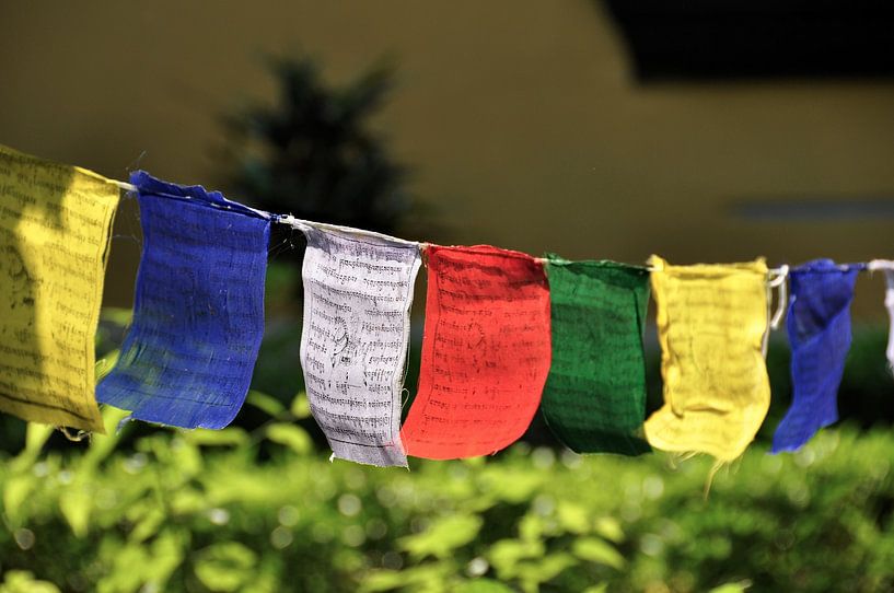Gebetsfahnen: Eine spirituelle Reise nach Lumbini von Frank Photos