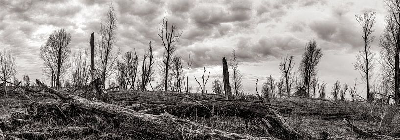 A rough landscape in the middle of winter. by Peter de Jong