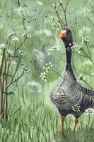 Aquarel van grauwe gans tussen het fluitenkruid