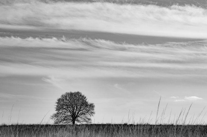 Ginkelse heide van Nancy van Verseveld