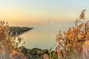 Goldene Farbtöne über dem IJsselmeer.