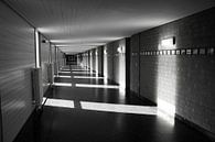 Der langen Korridor von Jolanta Mayerberg Miniaturansicht