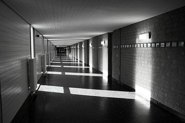 The Long corridor by Jolanta Mayerberg