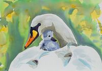 Un cygne avec un poussin