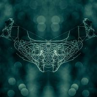 Butterfly of silk