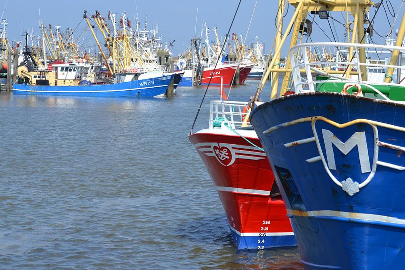Niederlande, Hafen von Lauwersoog von Bernard van Zwol