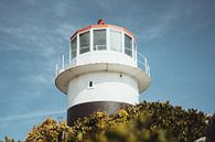 Vuurtoren New Cape Point | Reisfotografie | West-Kaap, Zuid-Afrika, Afrika van Sanne Dost thumbnail
