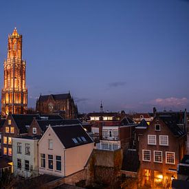 Utrecht Cathedral in evening light by Rob vlierd van de