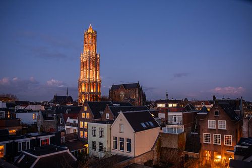 De Dom van Utrecht bij avond licht