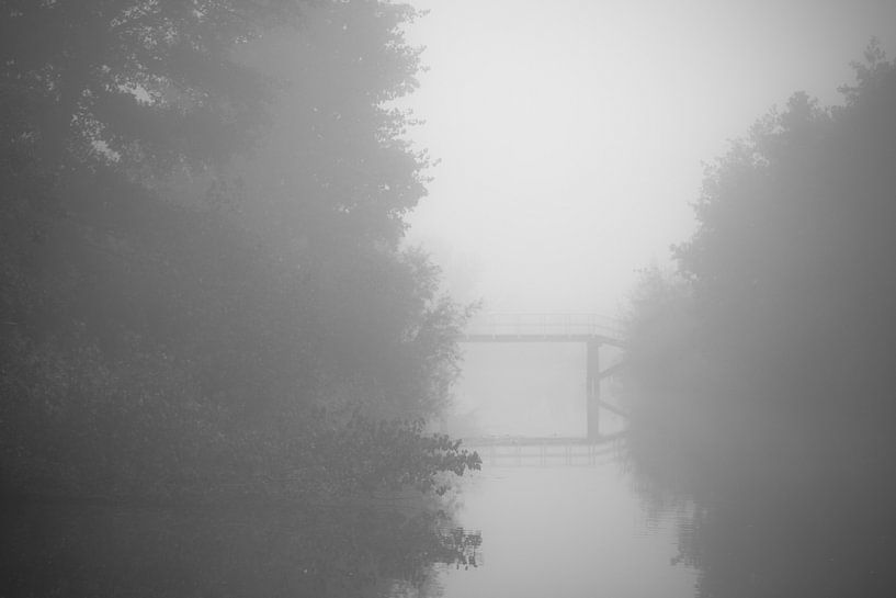 Natuur in de mist van Marco Bakker