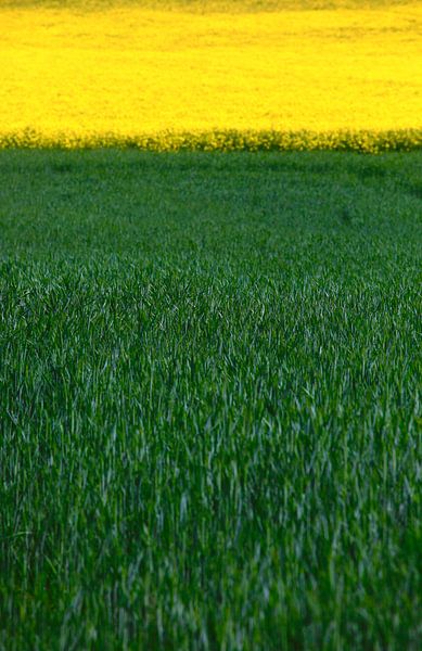 Domaine par Thomas Jäger