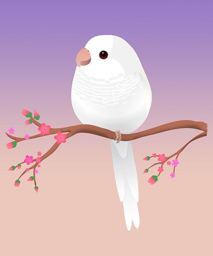 A digital drawing of an albino quaker parrot by Bianca Wisseloo